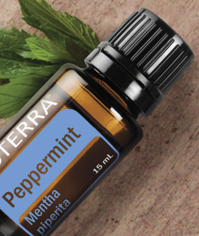 HOW Oils Peppermint Oil Uses and Benefits v1