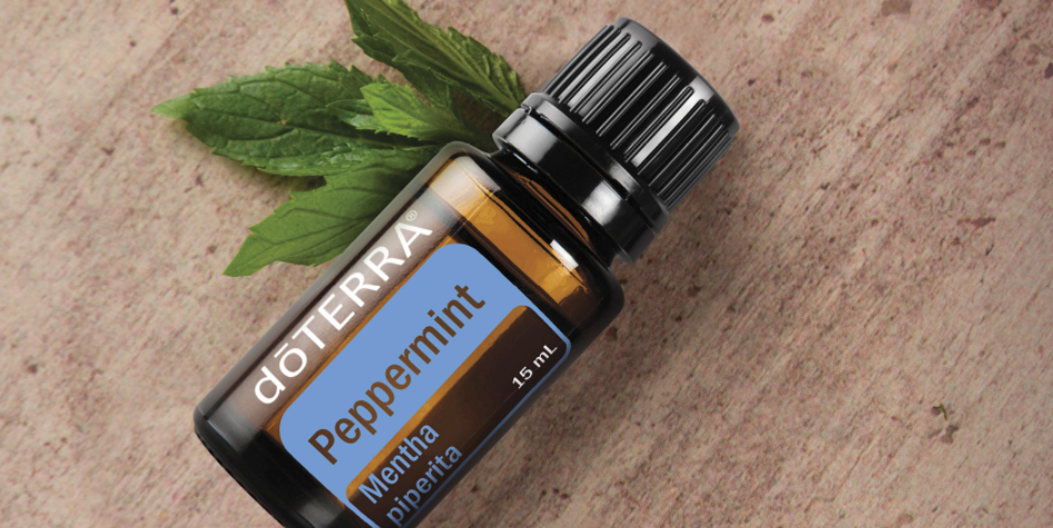 HOW Oils Peppermint Oil Uses and Benefits v1