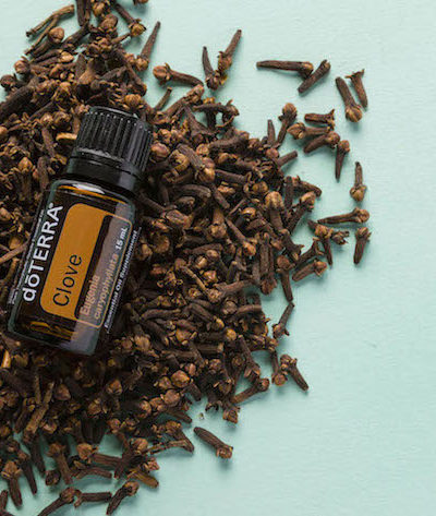 HOW Oils doTERRA clove Clove Oil Uses and Benefits