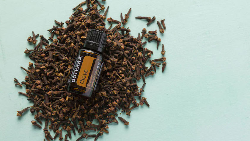 HOW Oils doTERRA clove Clove Oil Uses and Benefits