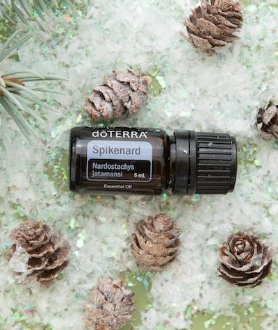 HOW essential oils Spikenard doTERRa uses and benefits