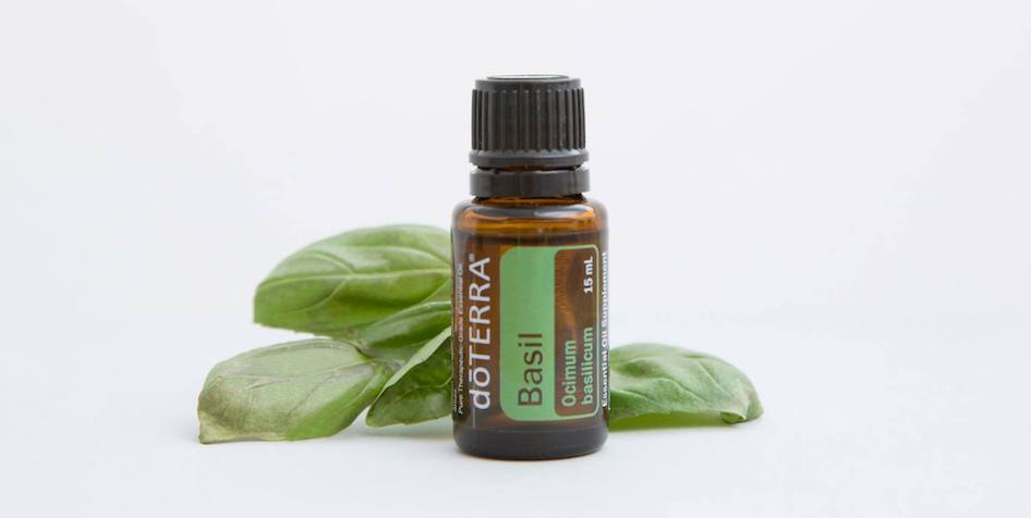 HOW Oil doTERRA Basil essential oil