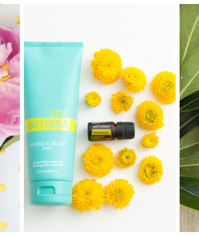 HOW Oils doTERRA helichrysum uses and benefits