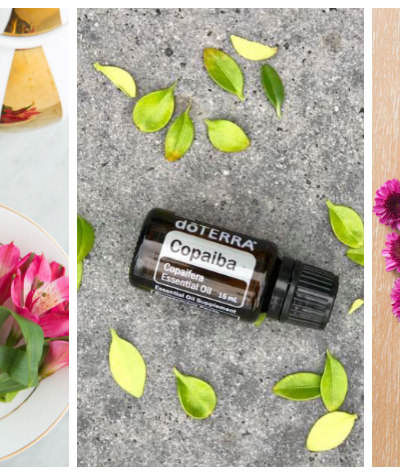 HOW Oils doterra essential oils Using Copaiba Oil