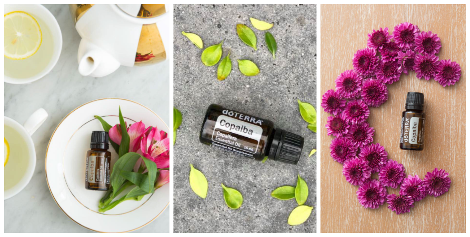 HOW Oils doterra essential oils Using Copaiba Oil