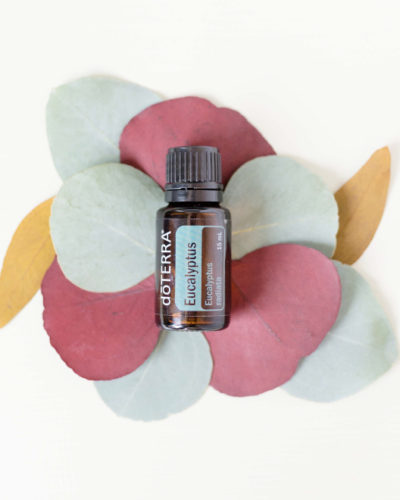 HOW Oils doterra 6 Reasons to Use Eucalyptus Oil