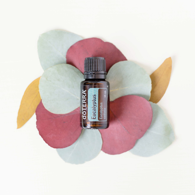 HOW Oils doterra 6 Reasons to Use Eucalyptus Oil