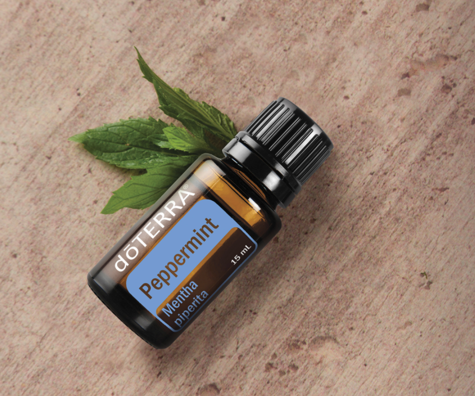 HOW Oils doTERRA Peppermint essential