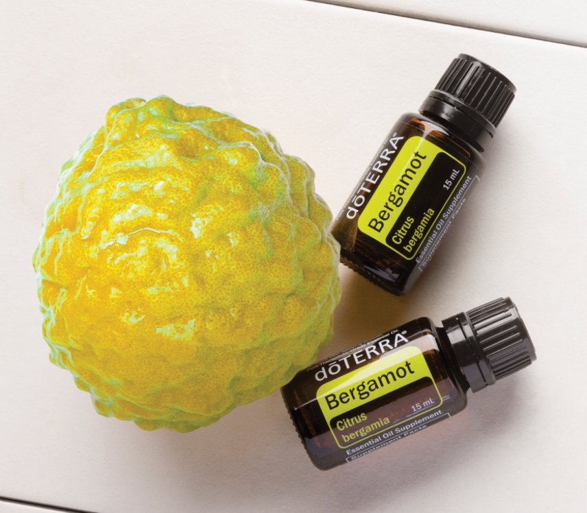 HOW Oils Bergamot doterra essential oil uses and benefits