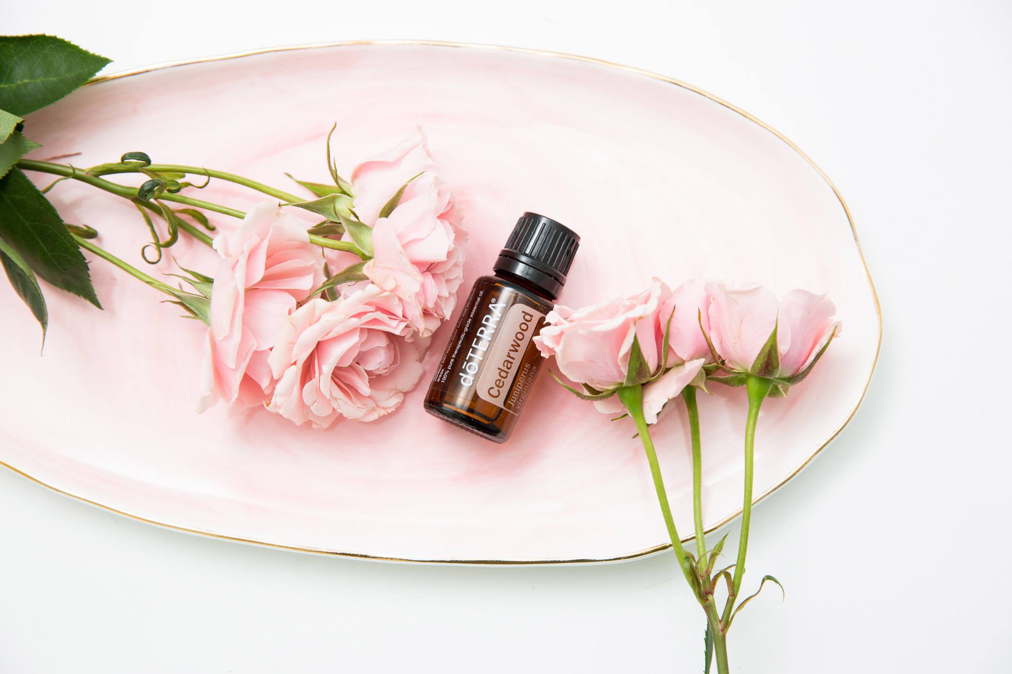 HOW Oils Cedarwood essential Oil Uses and Benefits